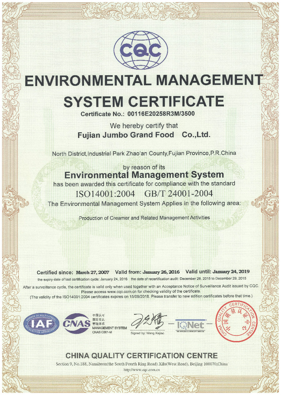 JUMBO GRAND-ISO14001 ENVIRONMENTAL MANAGEMENT SYSTEM CERTIFICATE